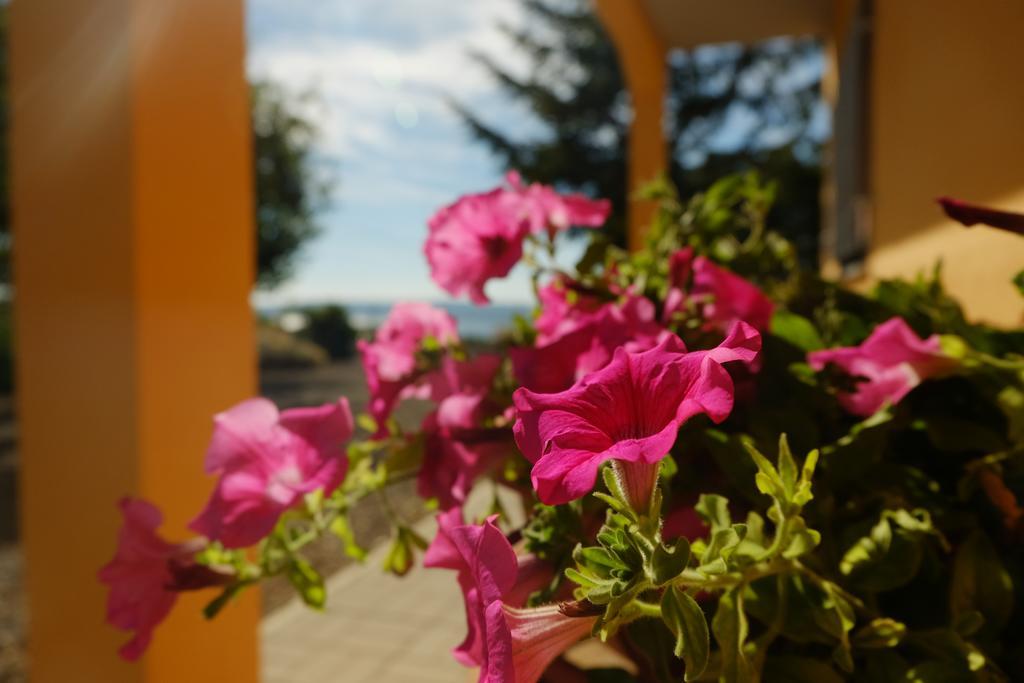 B&B Podere Ospedaletto 볼세나 외부 사진